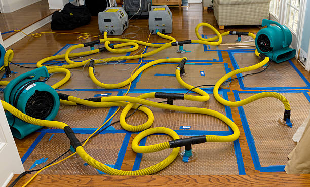 Professional Crawl Space Water Removal technician working in Kennard, IN